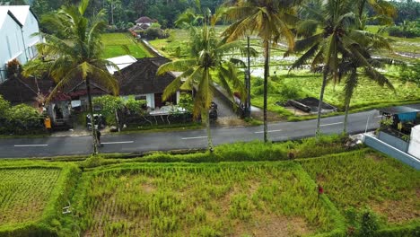 amazing cinematic ubud, bali drone footage with exotic rice terrace, small farms, village houses and agroforestry plantation