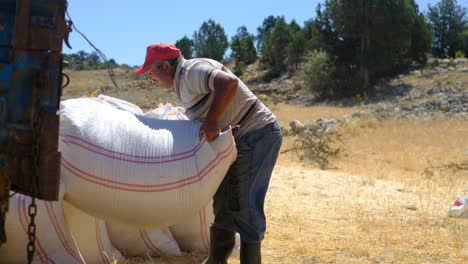 hombre en el campo de trabajo