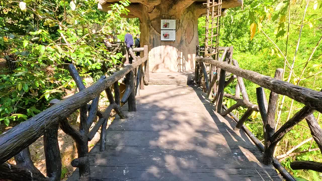 울창 한 새집 을 가로질러 경치 좋은 산책