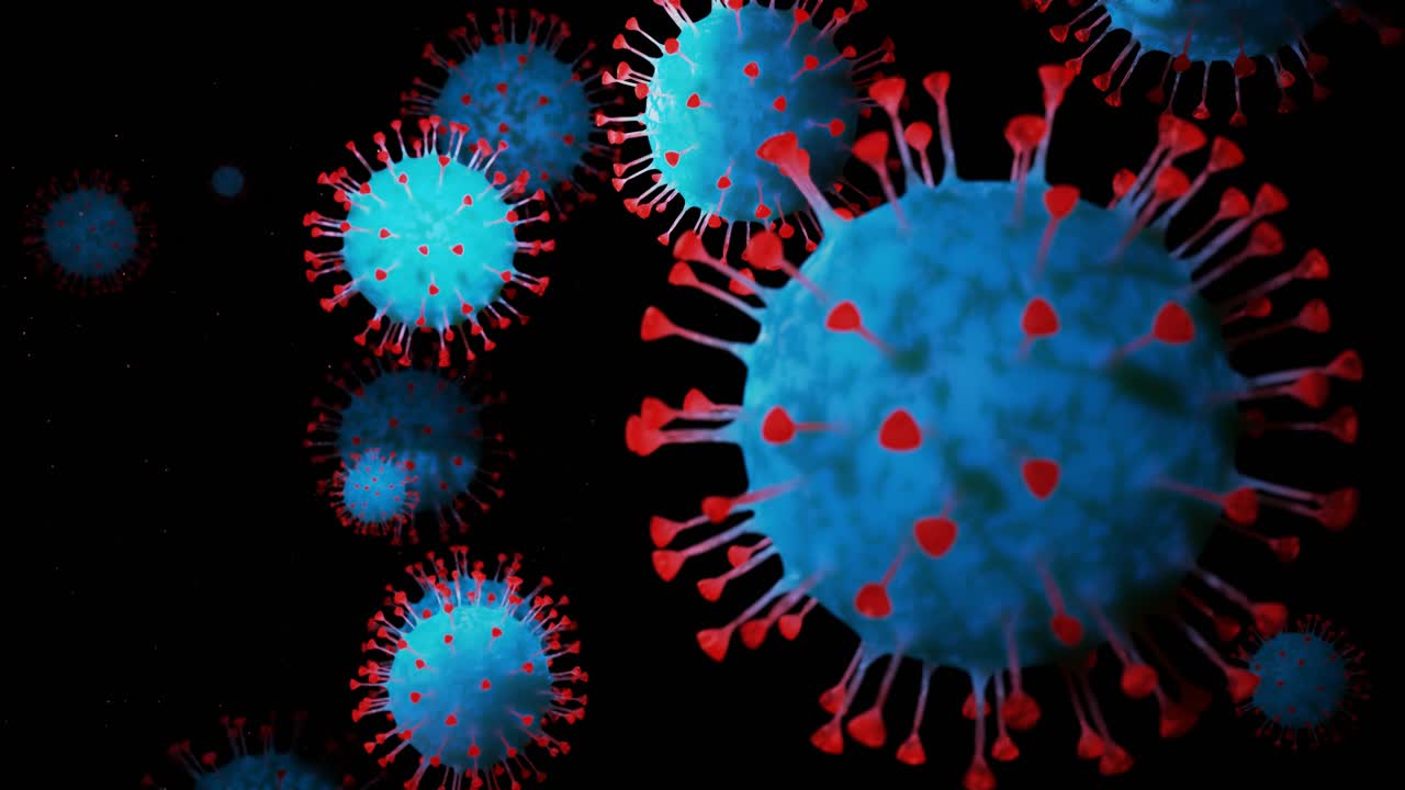 close-up coronavirus type covid-19, h1n1, bird flu or swine flu move smoothly in fluid 3d representation of virus as microbiological microscopic looped background. Red blue gradient 23