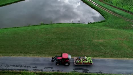 aerial view of tractor pulling a flatbed filled with corn freshly picked from the field