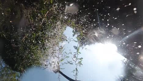 waterkan giet vers koud water over hete planten met zonnevlammen