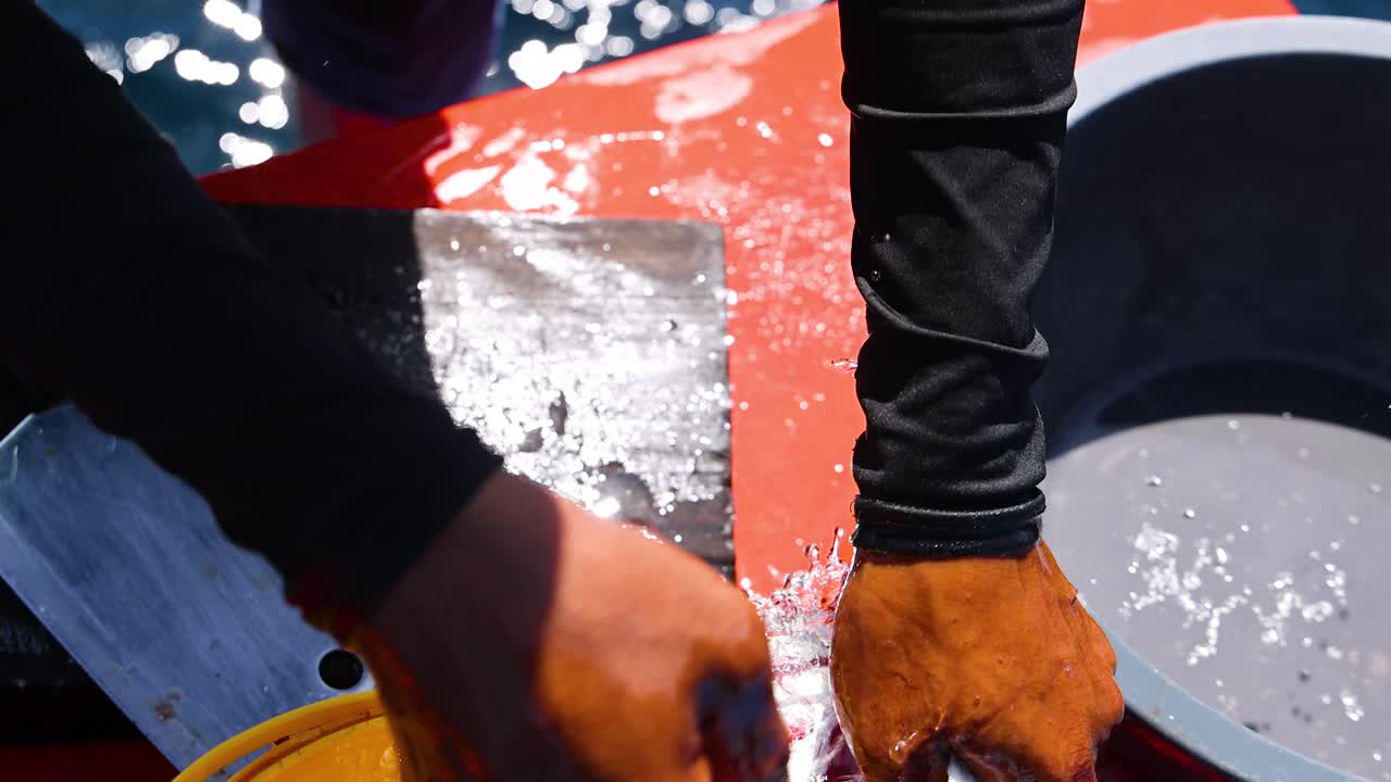A person cleans and prepares fish on a boat in Phuket, Thailand, showcasing traditional techniques under bright sunlight