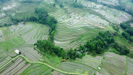 Imágenes-Aéreas-De-Drones-De-4k:-Terrazas-De-Arroz-Verdes-De-Jatiluwih-Unesco,-Ubud,-Bali