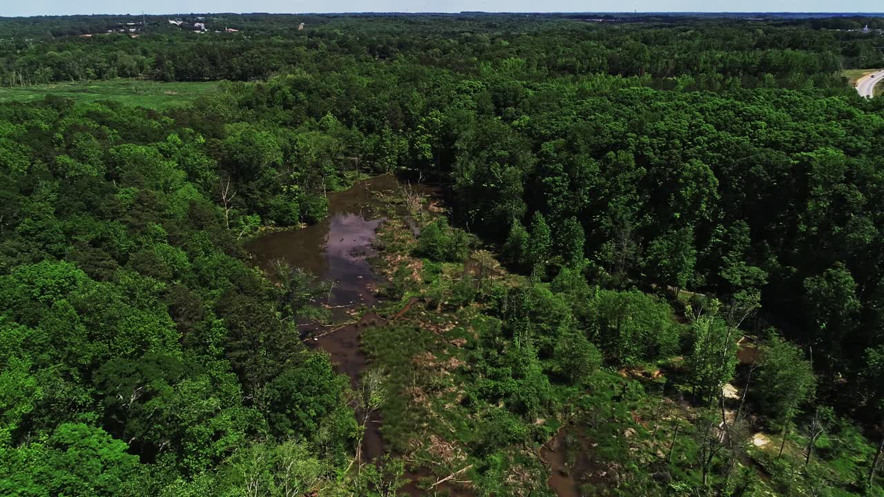 그린빌에 있는 코네스티 자연 보호구역에 있는 습지의 드론 뷰