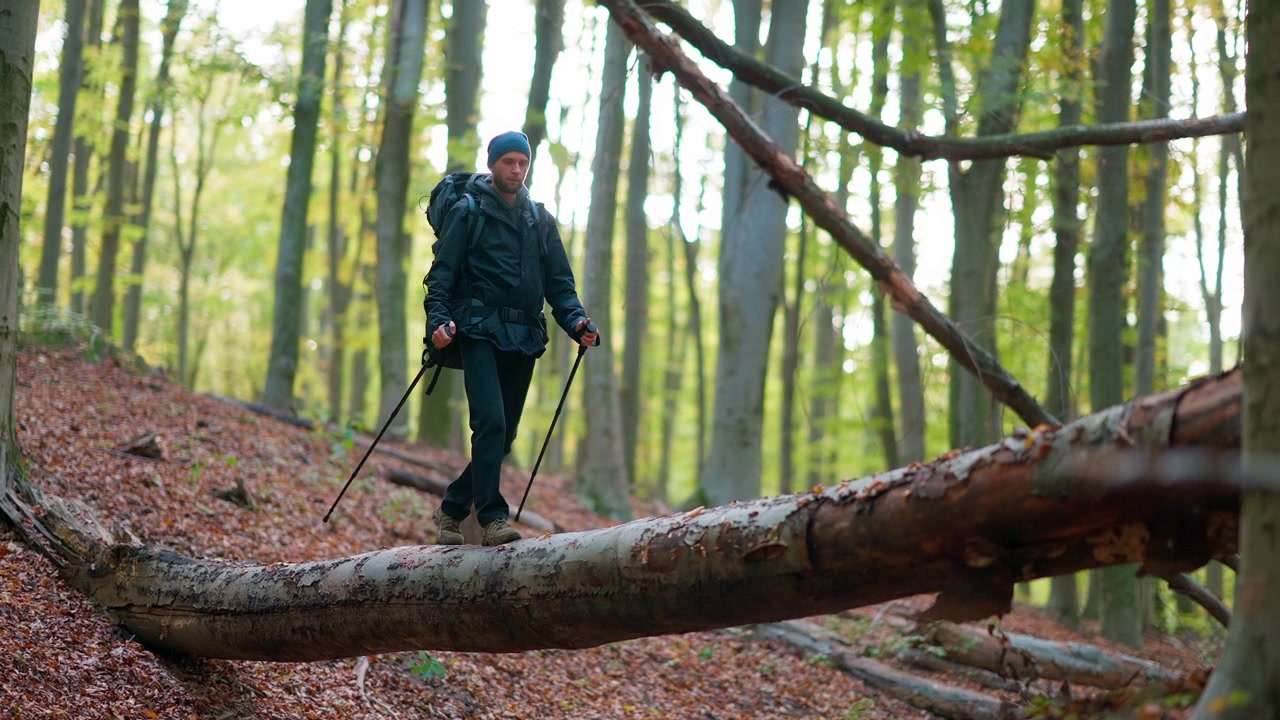 Hiker with Backpack Balancing on a Fallen Log in Autumn Forest
