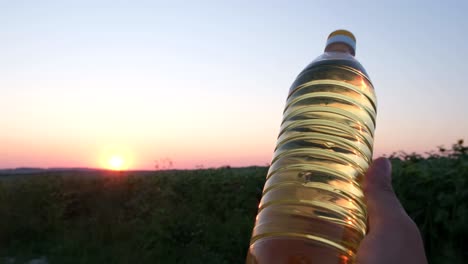 a bottle of sunflower oil on a beautiful sunset in a field a bottle of sunflower oil on a beautiful sunset in a field advertisement of sunflower oil video