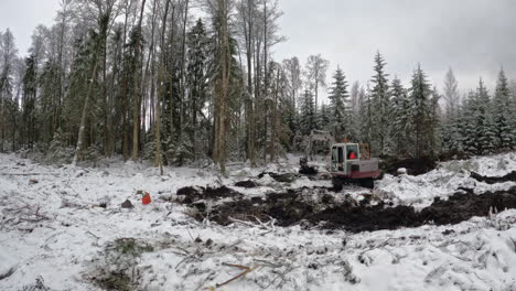 nivelación de un sitio de construcción en el bosque durante el invierno