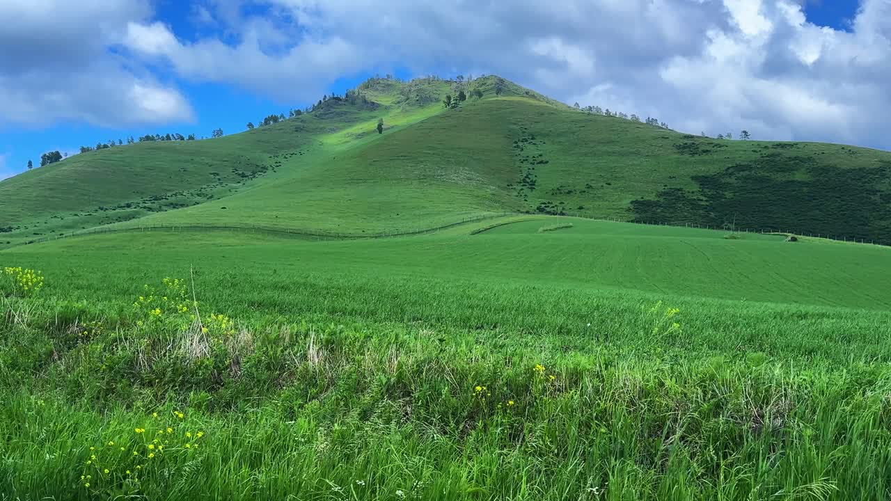 Serene Green Landscape on a Sunny Day with Rolling Hills and Clear Blue Sky in the Background: A Picturesque View of Nature's Beauty