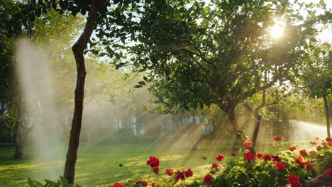 Die-Sonnenstrahlen-Erhellen-Einen-Kleinen-Garten-Mit-Obstbäumen-Und-Blumen,-In-Dem-Das-Bewässerungssystem