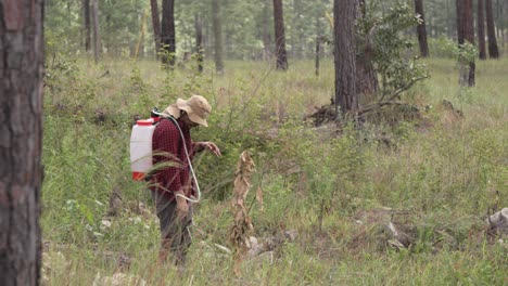 Plano-General-De-Un-Hombre-Trabajando-Con-Un-Rociador-De-Mochila