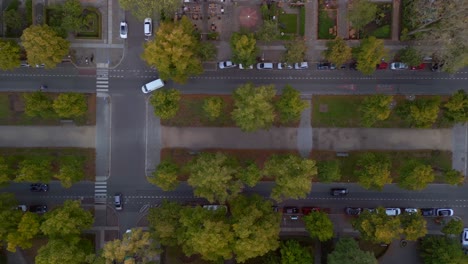 Große-Bäume-Mittelstreifen-Radfahrer-Autos