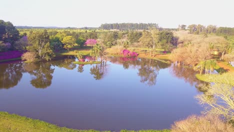 Flight-over-small-lake-with-blooming-tree-tops,-and-beautiful-garden-inside-yerba-mate-industrial-complex-Las-Marias