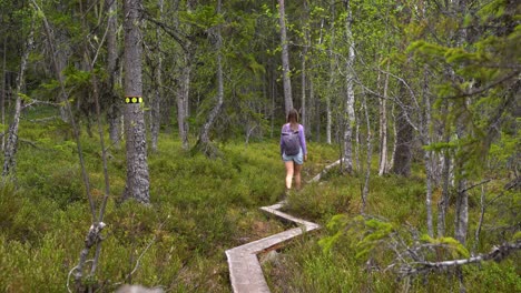 una mujer camina por el bosque.