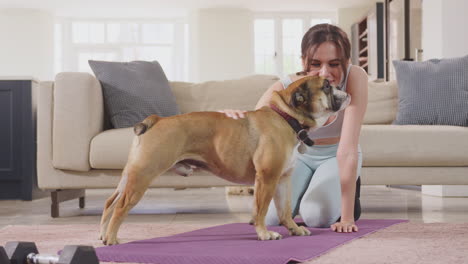 Woman-in-fitness-clothing-at-home-stroking-pet-english-bulldog--before-exercising-on-mat-in-lounge--shot-in-slow-motion