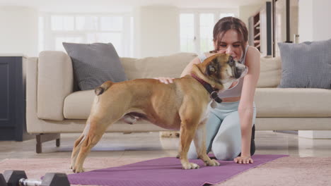 mujer en ropa de fitness en casa acariciando a un bulldog inglés antes de hacer ejercicio en el tapete en el salón filmado en cámara lenta