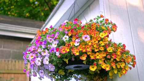 a pot of flowers hanging outside a she shed