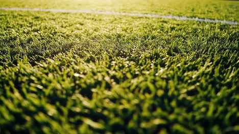 close-up view of a soccer field