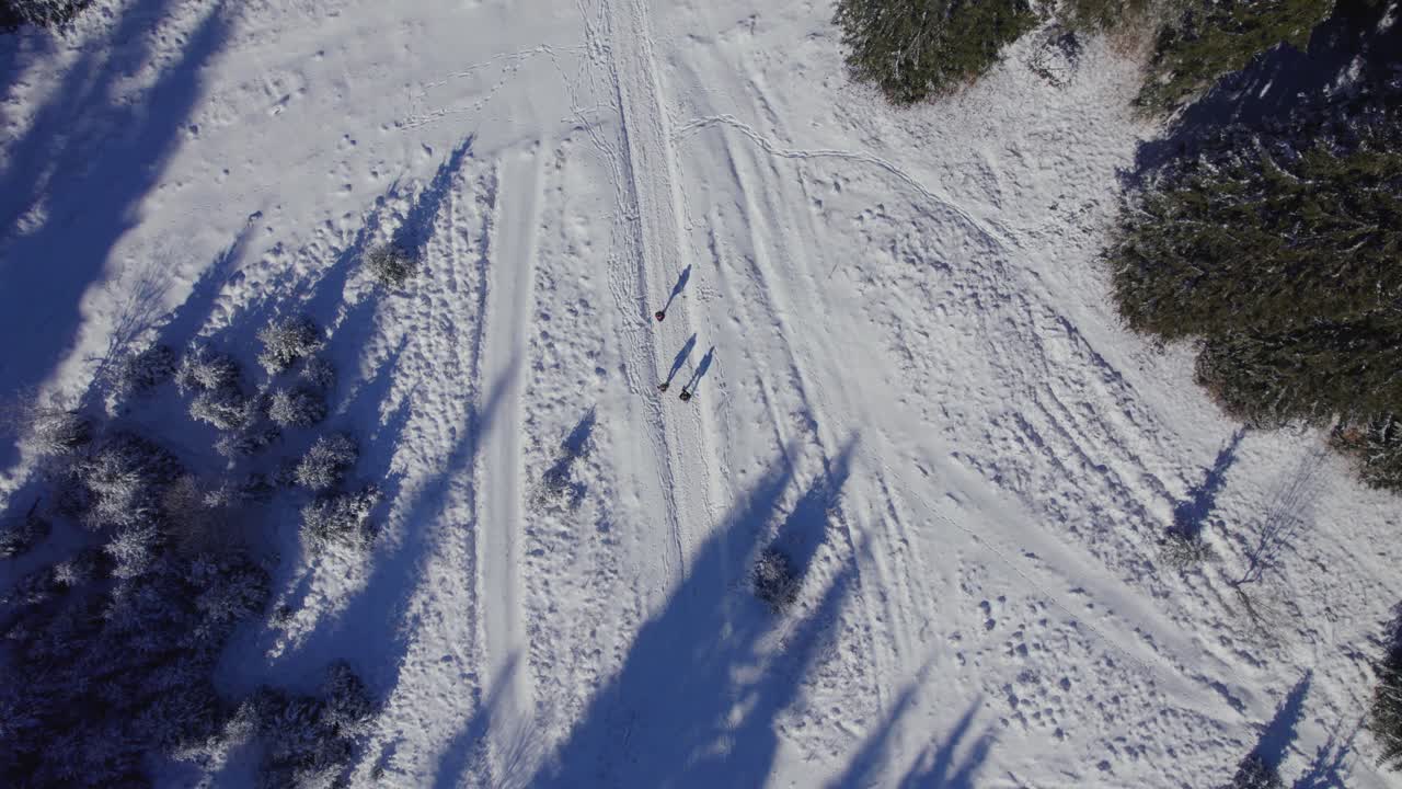 산에서 눈을 하이킹하는 사람들의 그림자의 새 보기