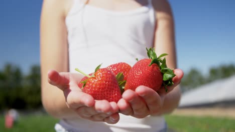 girl holding strawberries in the farm 4k