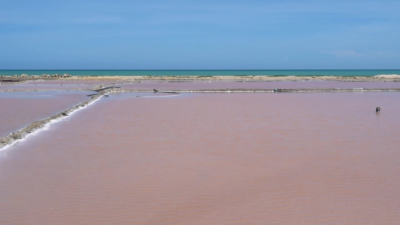Pink salt field close to Punta gallons in north Colombia