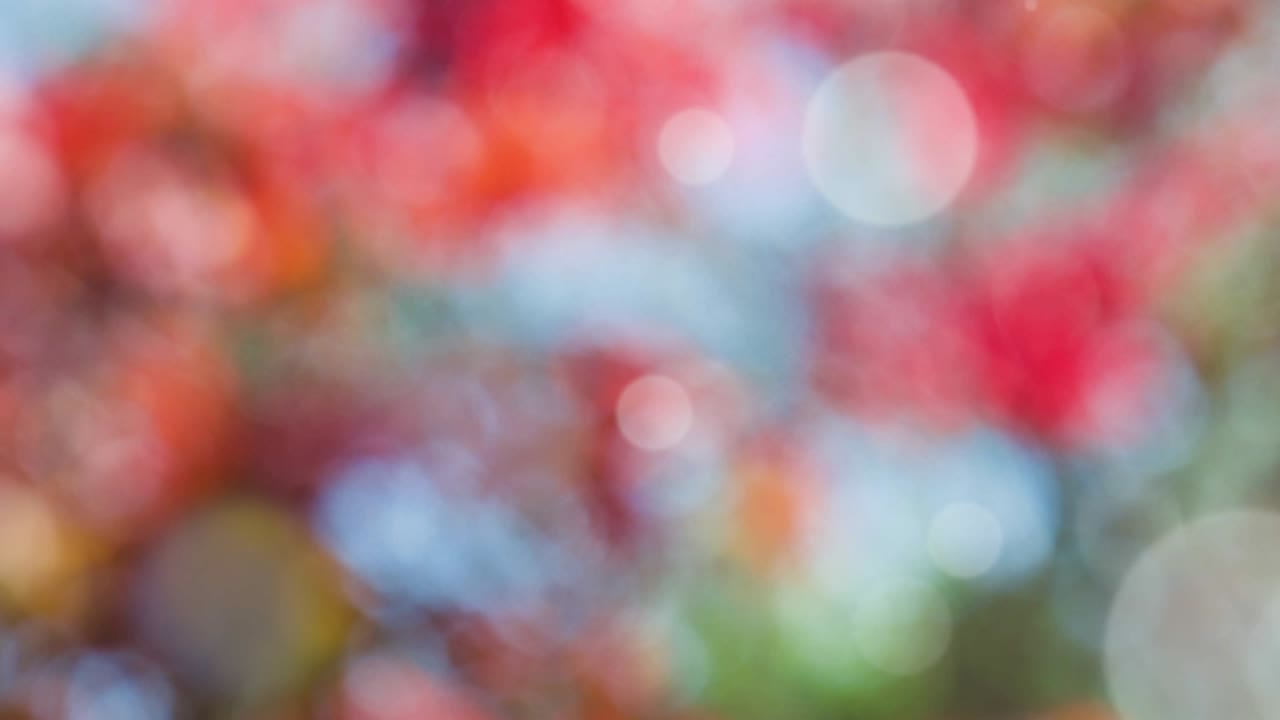 보케와 함께 추상적인 스프링 배경