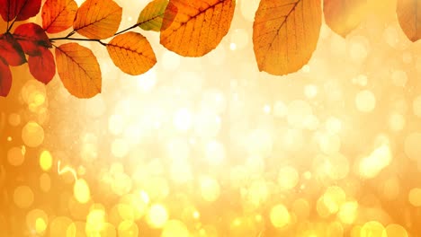 animation of autumn leaves over glowing spots of light in background