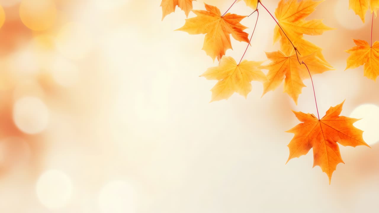 A serene autumn scene with vibrant orange leaves against a soft bokeh background
