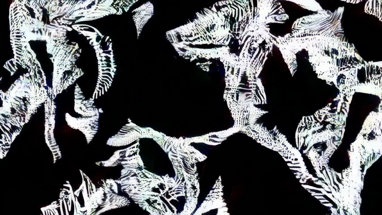 Abstract Black and White Pattern