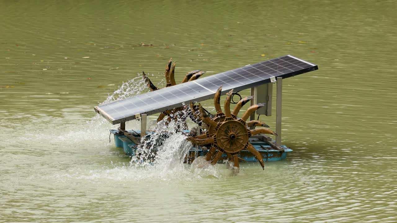 A solar-powered water wheel aerator operates in a pond, enhancing water quality through sustainable energy
