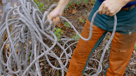 lumberjack working in forest 4k