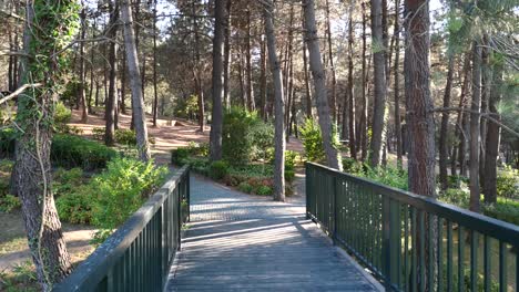 un puente de madera en un bosque
