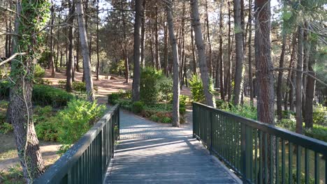 a wooden bridge in a forest