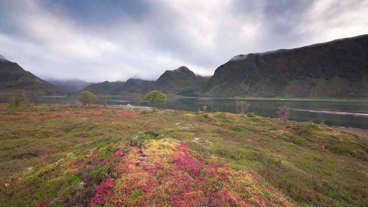 Ein Teppich aus bunten Pflanzen und Moos bedeckte die Ufer des Fjords in der Herbsttundra