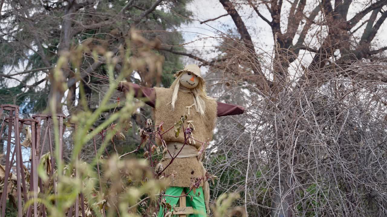 Friendly looking scarecrow outside in cold winter day next to field or garden. House backyard or agriculture garden or organic vegetable and fruit farm with doll to scare crows and birds