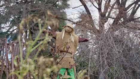 friendly looking scarecrow outside in cold winter day next to field or garden. house backyard or agriculture garden or organic vegetable and fruit farm with doll to scare crows and birds
