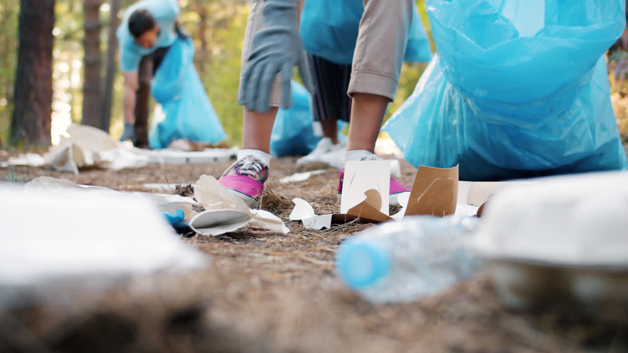 Community Volunteers Cleaning Up Forest Litter