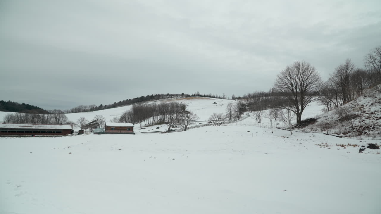 한국의 평창에 있는 겨울에 있는 대규모 양 농장의 전망
