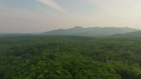 Denso-Matorral-En-Las-Montañas-En-La-Reserva-Natural-De-Quebec,-Canadá