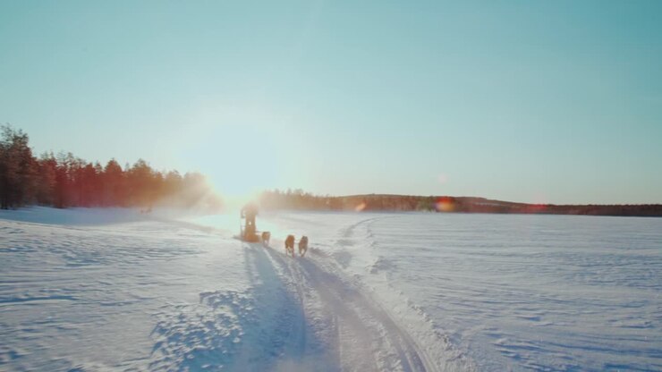 Person riding sleigh with huskies