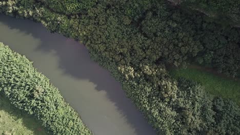 Drone-panning-left-with-bird's-eye-view-of-river-in-Hawaii-rainforest-towards-sunset