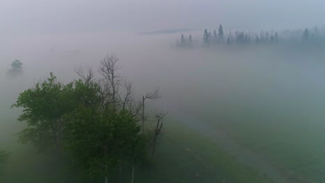 vista aérea de baja visibilidad a través de niebla y humo sobre una zona rural de tierras de cultivo de alberta