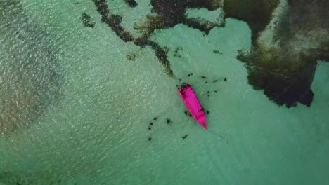 drone clip de la piscina de nylon en el tobago por encima de la cabeza