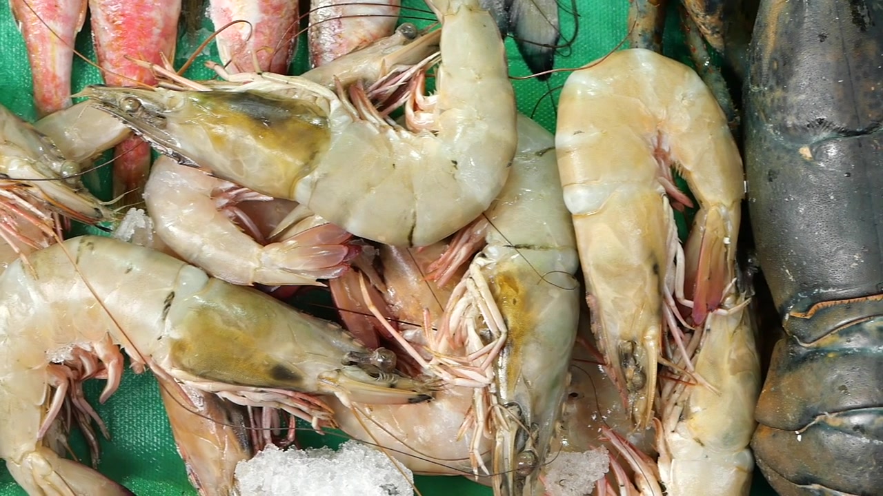 Fresh Raw Shrimp and Lobster on Ice at Fish Market