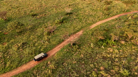 4x4 safari vehicle on game drive on dirt road in africa, tracking aerial orbit