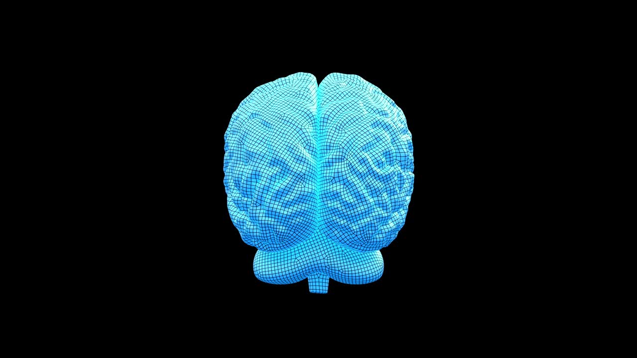 Human Brain 3D, Seamless Loop