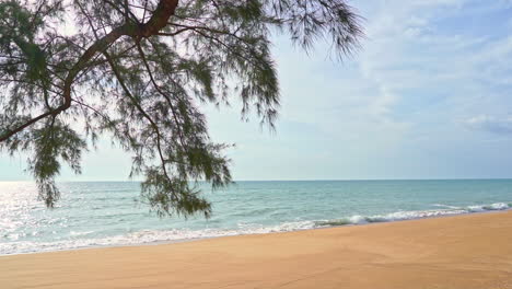 Una-Rama-De-árbol-Que-Sobresale-Enmarca-Las-Olas-Entrantes-En-Una-Playa-De-Arena-Aislada