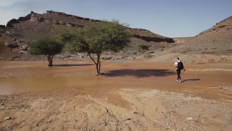 Young-Man-Walking-Towards-Shade-Under-Tree-in-an-Oasis-in-the-Sahara-Desert,-Morocco