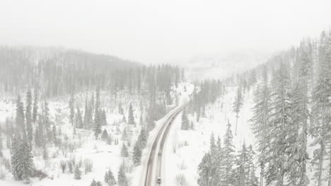 aerial shot over winding road through snowy pine forest