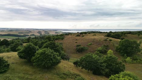 Trehøje-Grasland,-Hügel-Und-Kühe